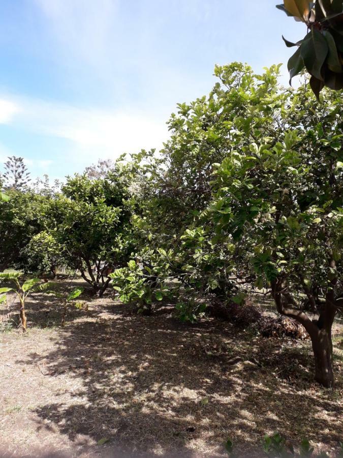 Casa Agrumeto Stromboli Luaran gambar